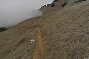 Screenshot of Matt Davis Trail on Mt. Tam using Street View