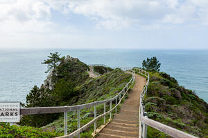 boardwalk to a Muir Beach overlook