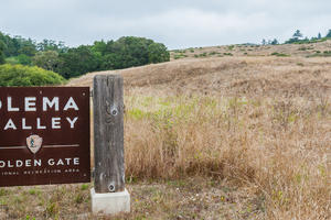 Welcome to Olema Valley