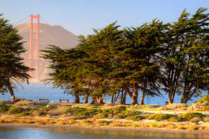 Crissy Field