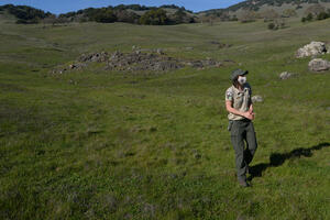 A park ranger walks in a green field on a clear day. The blue sky is visible behind rolling hills.