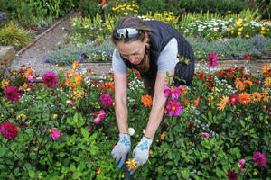 Shelagh Fritz tends to garden beds on Alcatraz Island.