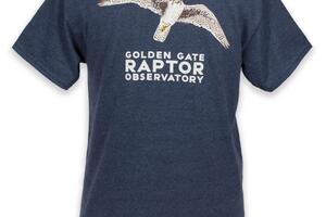 Prairie Falcon