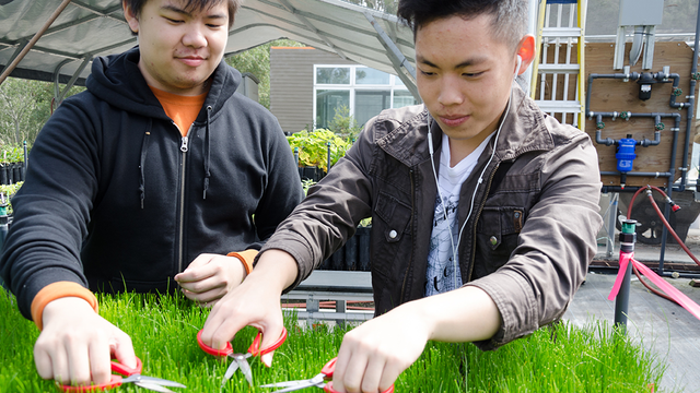 Volunteers Caring for Native Plants