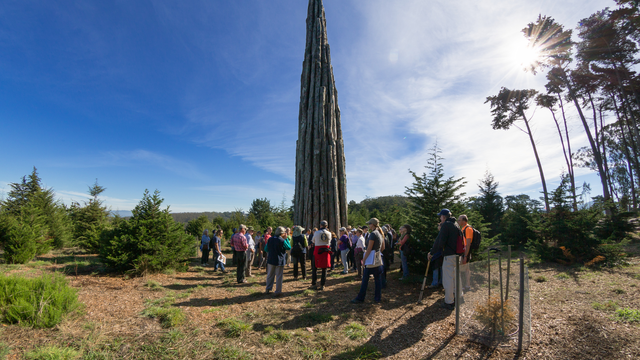 A docent led tour group gathers at Goldsworthy's "Spire" in the Presidio.