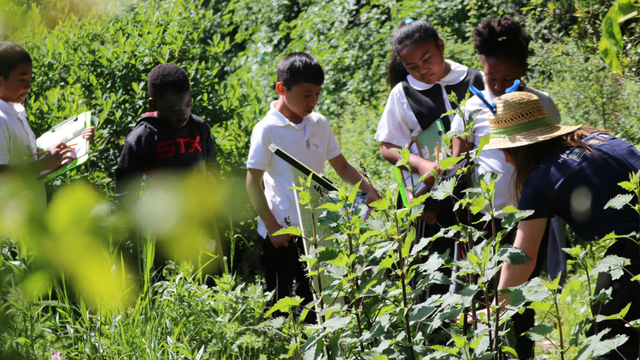 Students examine native plants in the demonstration garden.