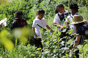 Students examine native plants in the demonstration garden.