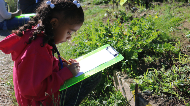 A student sketches a plant during a Seeds to Flowers program