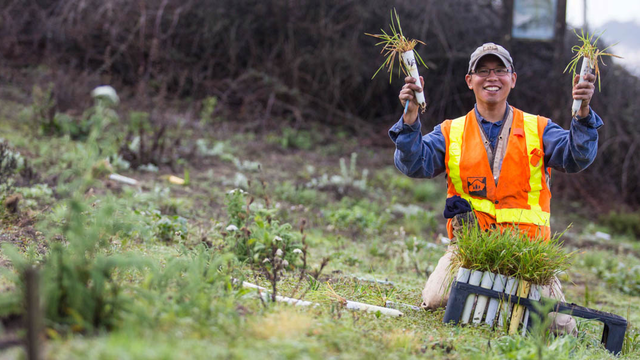 Intern Planting in the Presidio