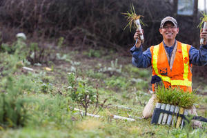 Intern Planting in the Presidio