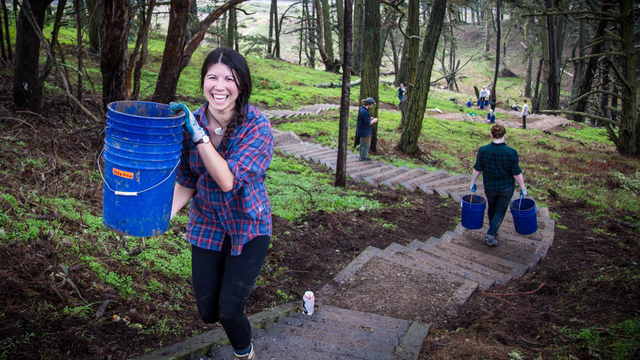 Presidio Forest Stewards Volunteer