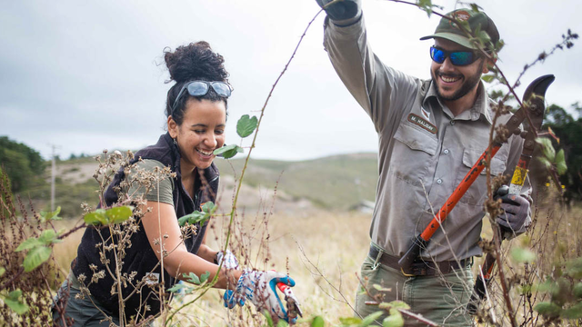 Removing Invasives in Tennessee Valley