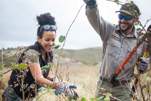 Removing Invasives in Tennessee Valley