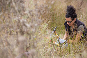 Stewardship work at Tennessee Valley.