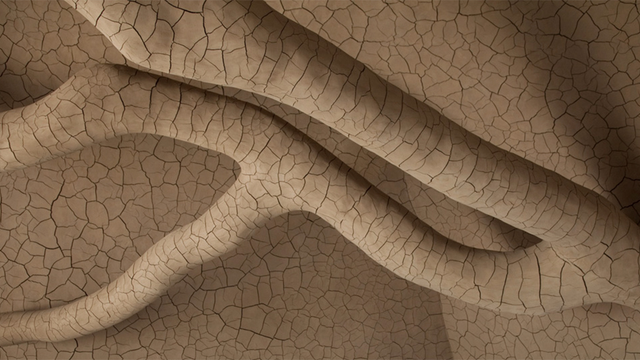Andy Goldsworthy’s installation Tree Fall