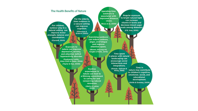 Illustration of the health benefits of nature.