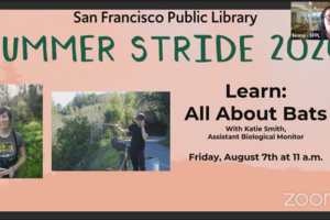Summer Stride 2020: All About Bats with Katie Smith
