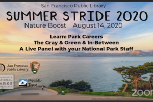 Summer Stride 2020: Park Careers, The Gray & Green & In Between