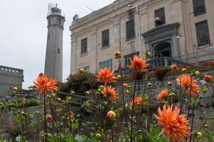 Alcatraz Gardens