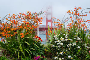 Flora juxtaposed with the bridge