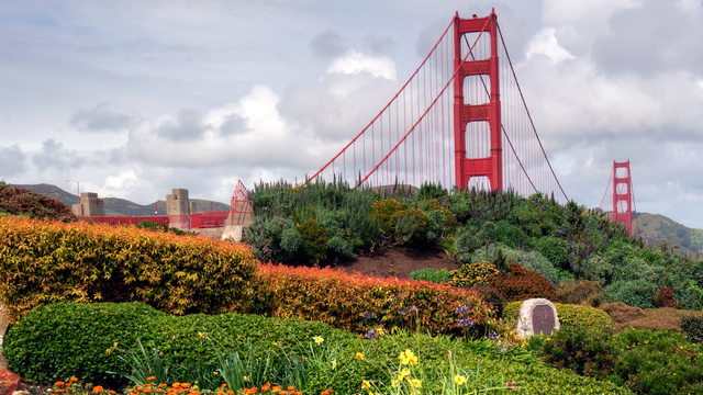A variety of flora supplies a pleasing view