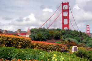 A variety of flora supplies a pleasing view