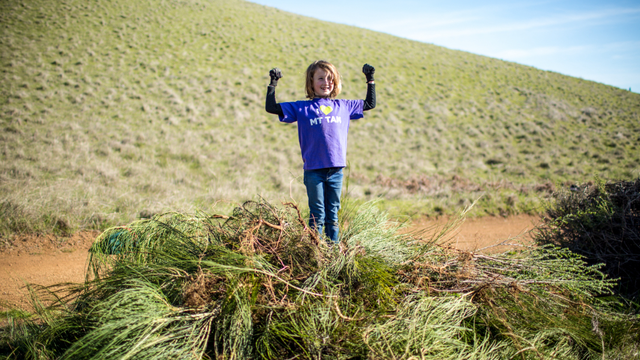 A victory over the weeds 