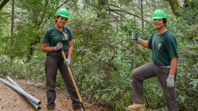Ready to restore habitats