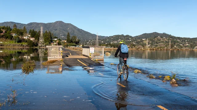 A cyclist rides over a flooded trail in Bothin Marsh, Marin. Mount Tam is seen in the background landscape.