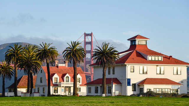 A view from Crissy Field looking out through buildings and palm trees at the Golden Gate Bridge.