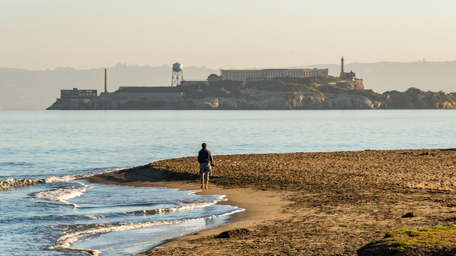 A park visitor walks along Crissy Field East Beach with a view of Alcatraz in the distance.
