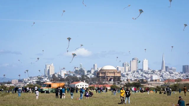 Many kites fill the sky at Crissy Field with crowds of park visitors recreating below.