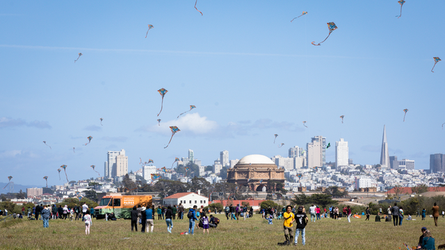 Many kites fill the sky at Crissy Field with crowds of park visitors recreating below.
