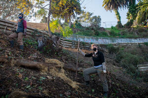 Parks Conservancy staff working to restore the Black Point Historical Garden at Fort Mason.