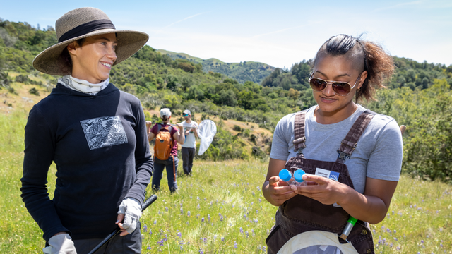 Two women carrying bug nets in a grassy field inspect specimen vials