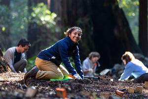 Staff and volunteers doing stewardship work in Muir Woods.