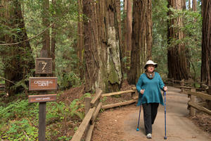 Muir Woods hiker