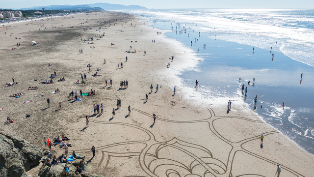 Aerial view of beach goers gathering around sand art at Ocean Beach.