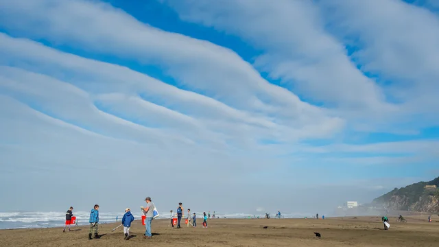 Ocean Beach volunteers 