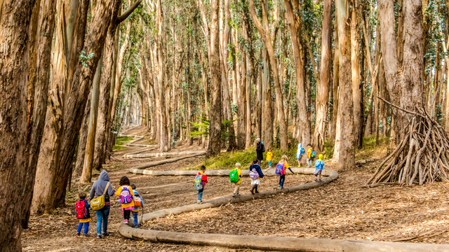 A group of children walk on a winding path of logs, an art installation by Andy Goldsworthy titled Woodline.