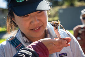 A participant checks out a mushroom at a Fungi Walk in the Presidio.