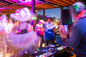 DJ Mancub plays at Parks4All: Pink Full Moon Party 2025.
