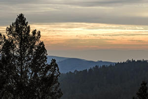 Views from Troop 80 Trail on Mt. Tam