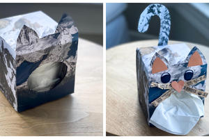 Tissue box with recycled paper covering its exterior and made to look like a bobcat in the Golden Gate National Recreation Area.