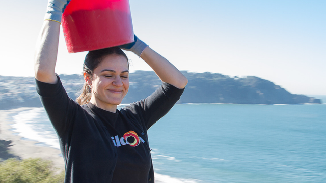Volunteer near Crissy Field