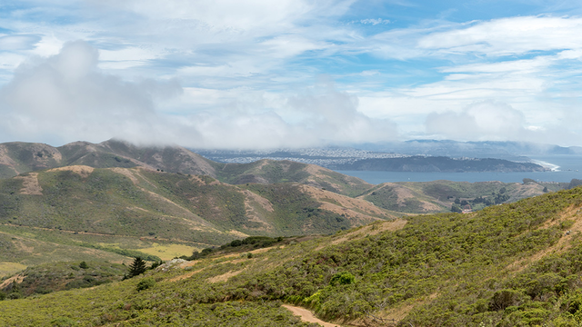 The Parks Conservancy has supported numerous projects in the Marin Headlands over its 40-year history.