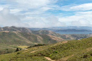 The Parks Conservancy has supported numerous projects in the Marin Headlands over its 40-year history.