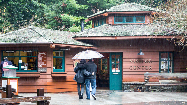 People head toward the Visitor Center under an umbrella on a rainy day