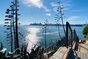 A staircase leads downward amid spiky agave plants at Alcatraz Island.