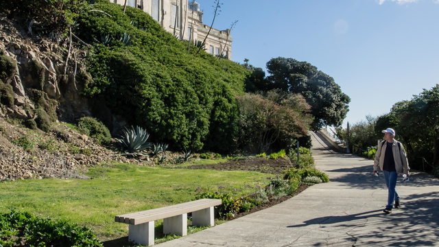 A visitor walks along a path amid gardens at Alcatraz.